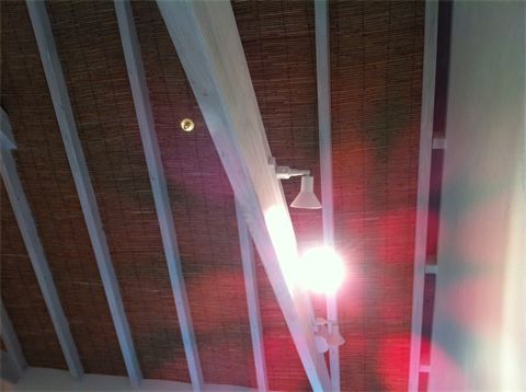 Low Voltage track light